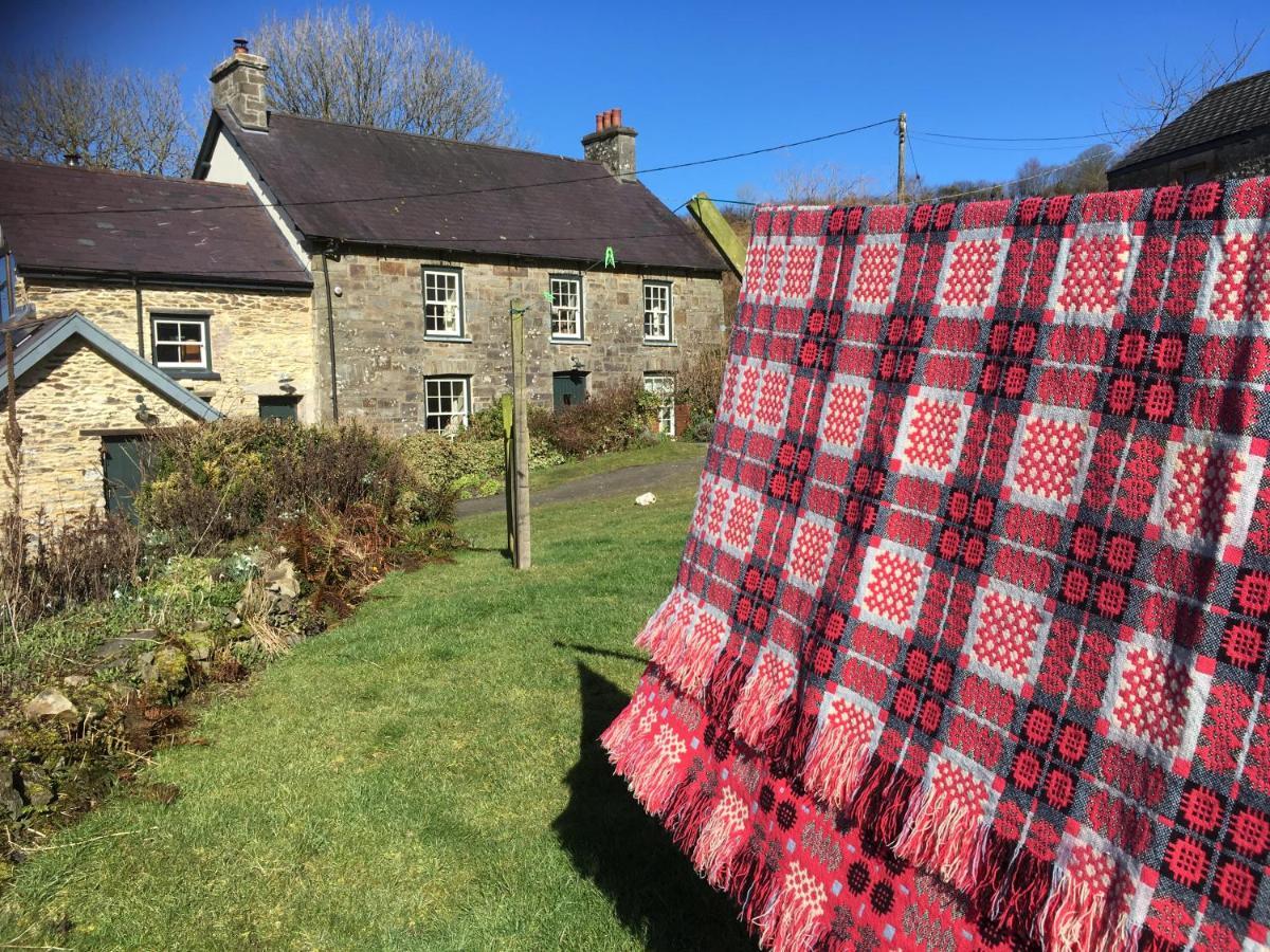 Nantgwynfaen Organic Farm Wales Villa Llandysul Exterior foto