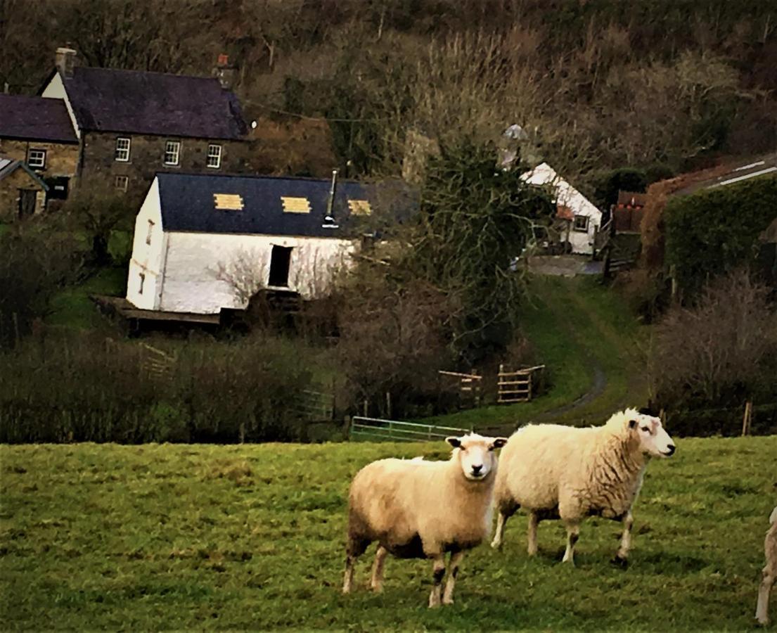 Nantgwynfaen Organic Farm Wales Villa Llandysul Exterior foto