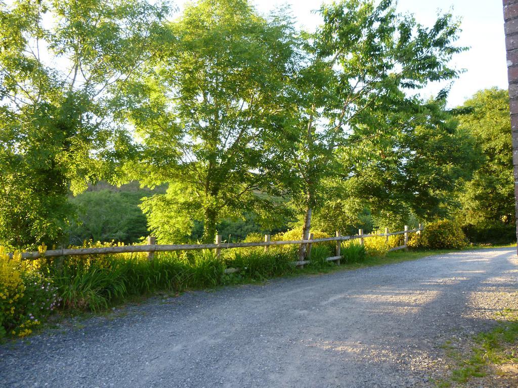 Nantgwynfaen Organic Farm Wales Villa Llandysul Exterior foto