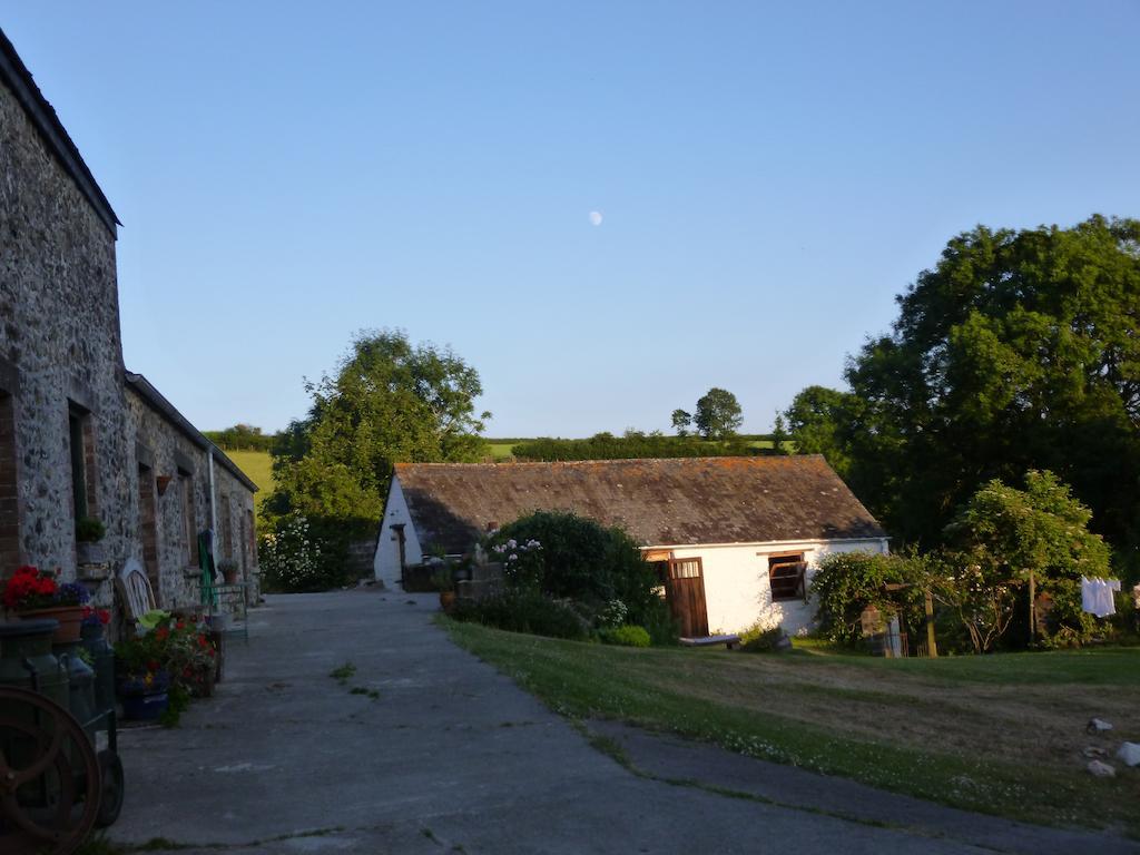 Nantgwynfaen Organic Farm Wales Villa Llandysul Exterior foto
