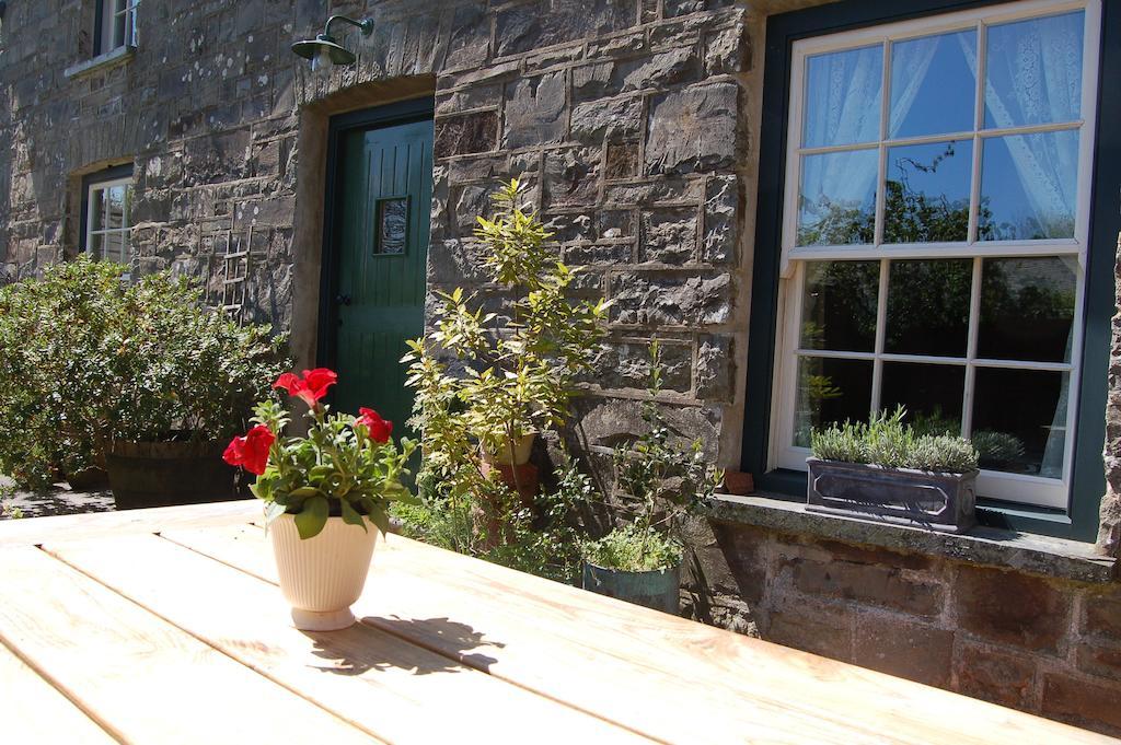 Nantgwynfaen Organic Farm Wales Villa Llandysul Exterior foto